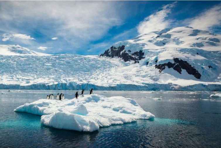 Türk alimlər Antarktidada elmi araşdırmalar aparacaqlar