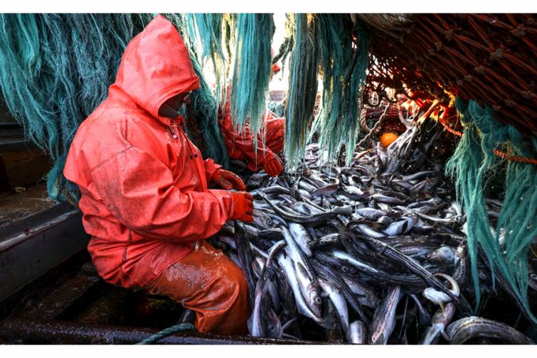 Norve&ccedil;də limanları Rusiya balıq&ccedil;ı gəmilərinin &uuml;z&uuml;nə bağlamağı tələb edirlər