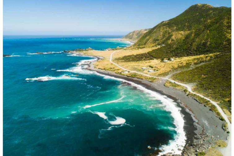 Yeni Zelandiya sahillərində suyun temperaturu rekord həddə çatıb