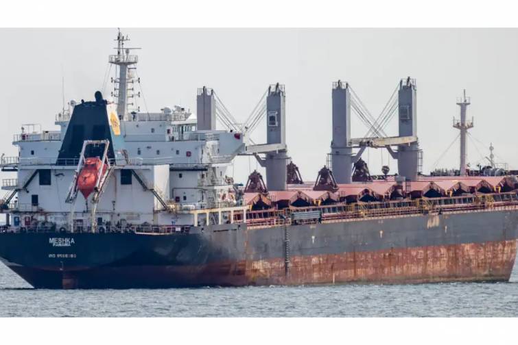 “Meshka” balkeri Oresund boğazında saya oturub