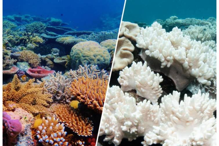 Alimlərdən COP30 ərəfəsində xəbərdarlıq: iqlim üzrə dönüş nöqtəsi arxada qalıb