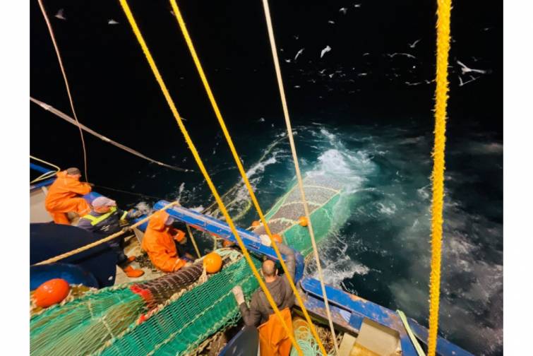 Xəzər və daxili sularda balıq ehtiyatlarının qiymətləndirilməsi üzrə ekspedisiya yekunlaşıb