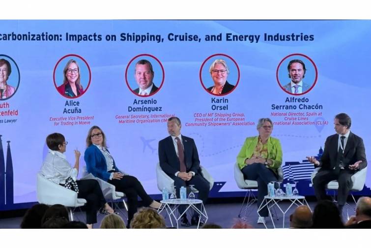 Arsenio Dominqes: “IMO-nun fəaliyyəti bir həftəlik hadisə ilə ölçülməməlidir”