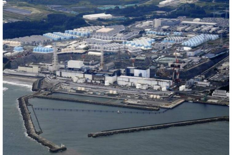 Yaponiya &Ccedil;inə dəniz məhsulları ixracını bərpa edir