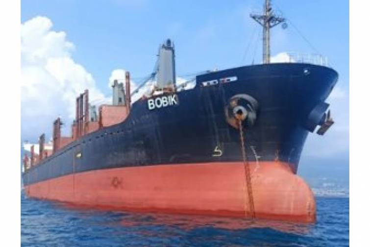 Türkiyə şirkətinə məxsus gəmiyə Bab əl-Məndəb boğazında hücum cəhdləri olub