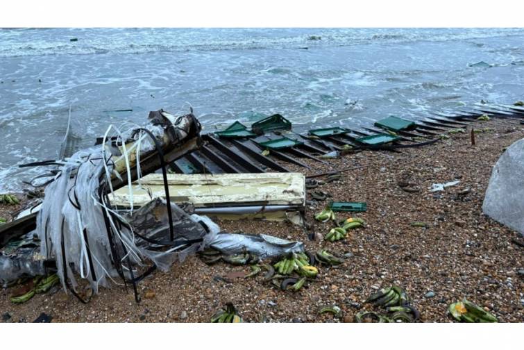 Gəmidən d&uuml;şən konteynerlərdəki bananlar sahilə &ccedil;ıxıb