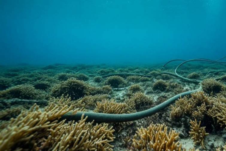Latviya Baltik dənizində optik lifli kabelin zədələndiyini a&ccedil;ıqlayıb