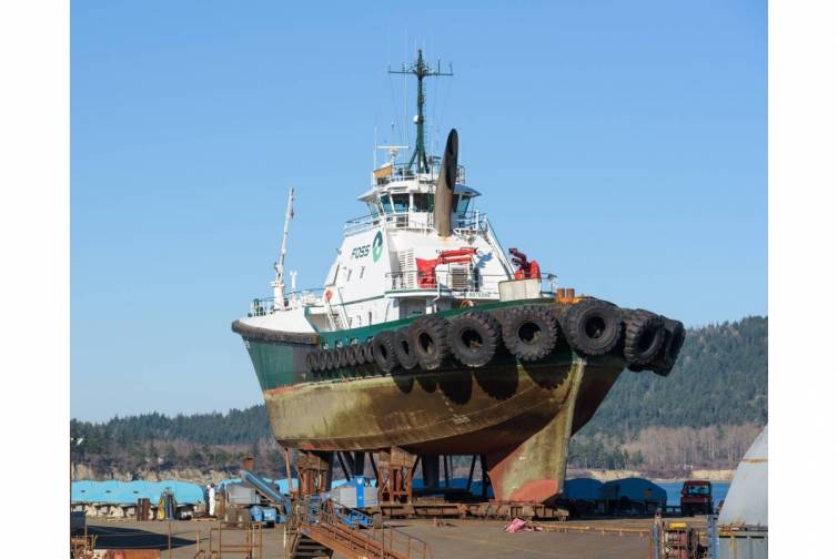 Gəmiqayırmada səssizlik: gecikmiş d&uuml;zəlişlər xərcləri ikiqat artırır