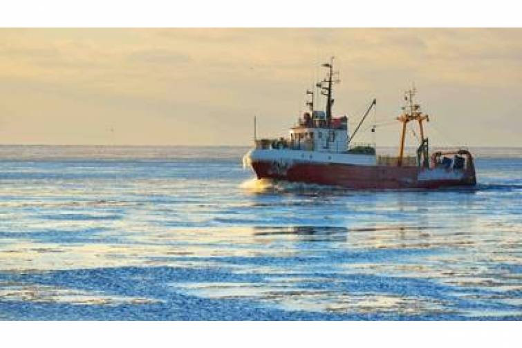 Y&uuml;ksək yanacaq xərcləri Avropa balıq&ccedil;ılıq sənayesini iflic edir