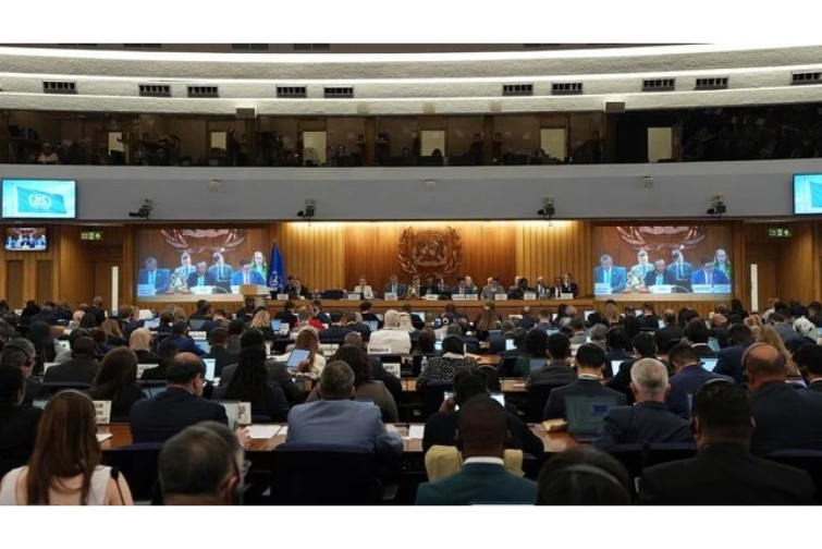 IMO d&uuml;nyanın ən b&ouml;y&uuml;k Emissiya Nəzarət Zonasını təsdiqlədi