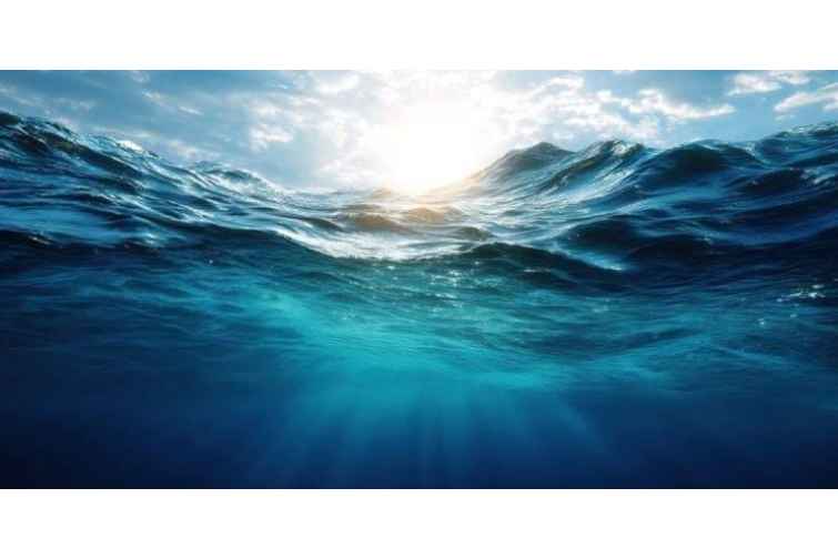 Okean səthinin temperaturu yenidən rekord həddə &ccedil;atıb